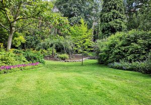 Optimiser l'expérience du jardin à Rivieres-le-Bois